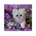 Картина по номерам 30Х30 КОТЕНОК В СИРЕНЕВЫХ ЦВЕТАХ (20 цветов)