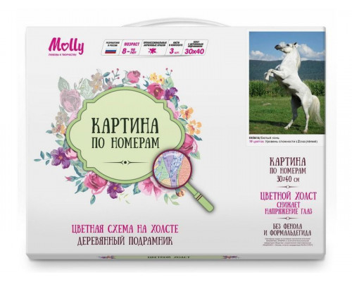 Картина по номерам с цветной схемой на холсте 30х40 Белый конь (19 цветов)
