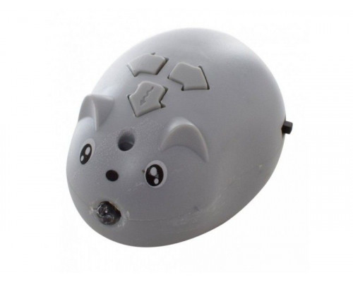 Р/У игуана ТТ6015А на батарейках