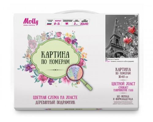 Картина по номерам с цв. схемой на холсте 30х40 ВЕСНА В ПАРИЖЕ (21 цвет)