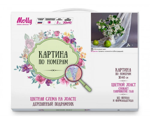 Картина по номерам с цветной схемой на холсте 30х40 ЯБЛОНЕВЫЙ ЦВЕТ (20 цветов)