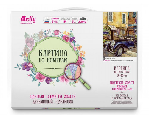 Картина по номерам с цв. схемой на холсте 30х40 Бугатти 1939 г. (17 цветов)