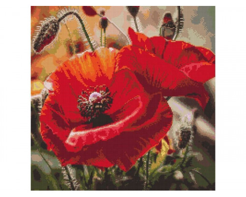 Картина мозаикой 30х30 МАКИ (квадрат) (22 цвета)