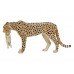 Фигурка KONIK Гепард, самка с детёнышем