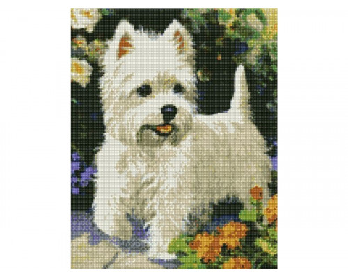 Алмазная мозаика с нанесенной рамкой 40х50 БЕЛЫЙ ТЕРЬЕР  (22 цвета)