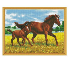 Алмазная мозаика с нанесенной рамкой 40х50 ПРОГУЛКА (28 цветов)