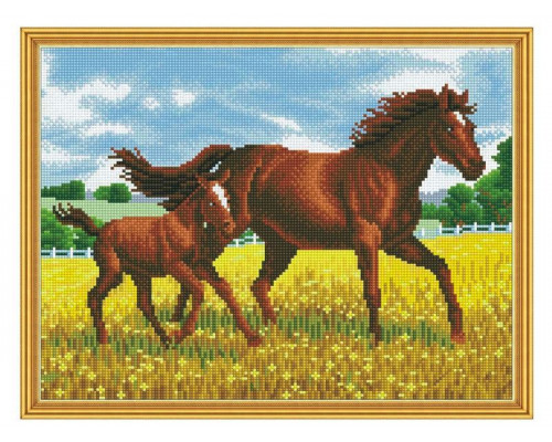 Алмазная мозаика с нанесенной рамкой 40х50 ПРОГУЛКА (28 цветов)