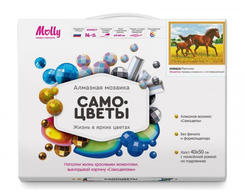 Алмазная мозаика с нанесенной рамкой 40х50 ПРОГУЛКА (28 цветов)