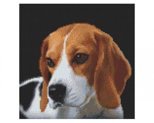 Картина мозаикой 30х30 БИГЛЬ (квадрат) (20 цветов)