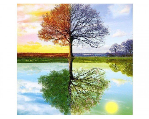 Картина по номерам 30х30 Времена года (21 цвет)