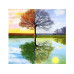 Картина по номерам 30х30 Времена года (21 цвет)