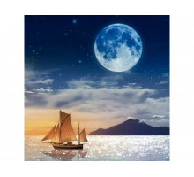 Картины мозаикой 30х30 НОЧЬ НАД МОРЕМ (27 цветов)