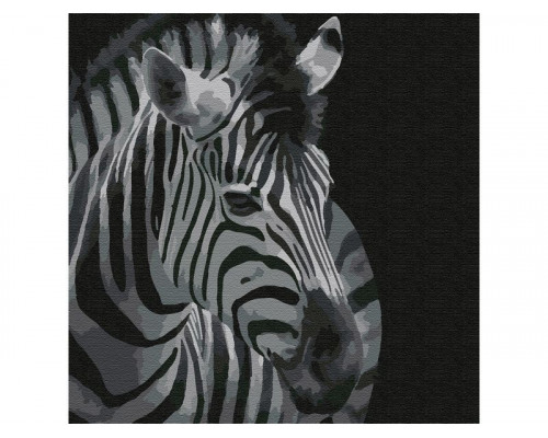 Картина по номерам 30Х30 ЗЕБРА (11 цветов)