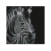 Картина по номерам 30Х30 ЗЕБРА (11 цветов)