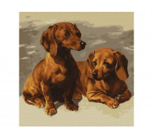 Картина по номерам 30х30 Таксы (18 цветов)