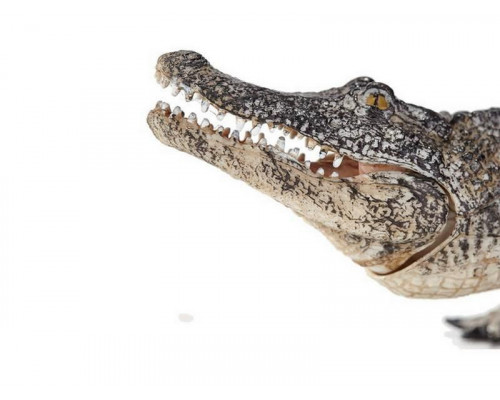 Фигурка KONIK Аллигатор