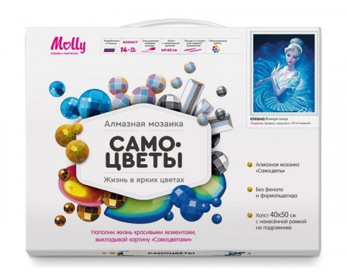 Алмазная мозаика с нанесенной рамкой 40х50 В ВИХРЕ ТАНЦА (12 цветов)