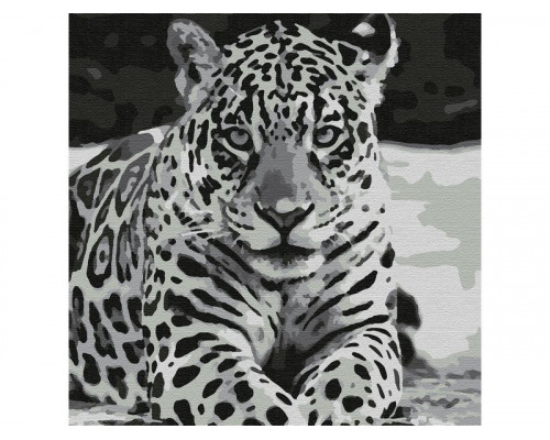 Картина по номерам 30Х30 ЯГУАР (9 цветов)