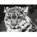 Картина по номерам 15х20 Снежный барс (8 цветов)