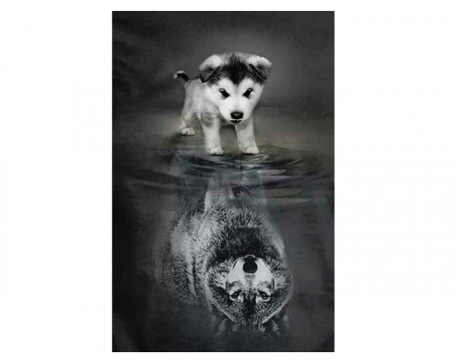 Картина по номерам с цветной схемой на холсте 30х40 Я все смогу... (17 цветов)