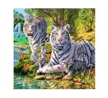 Картина по номерам 30Х30 СЕМЕЙСТВО БЕЛЫХ ТИГРОВ (19 цветов)