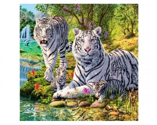 Картина по номерам 30Х30 СЕМЕЙСТВО БЕЛЫХ ТИГРОВ (19 цветов)