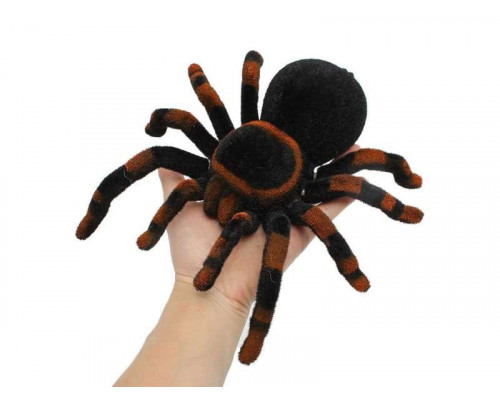 ИК паук Cute Sunlight Тарантул