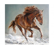 Картина по номерам 30х30 Рысак (17 цветов)