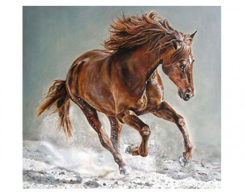 Картина по номерам 30х30 Рысак (17 цветов)