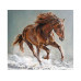 Картина по номерам 30х30 Рысак (17 цветов)