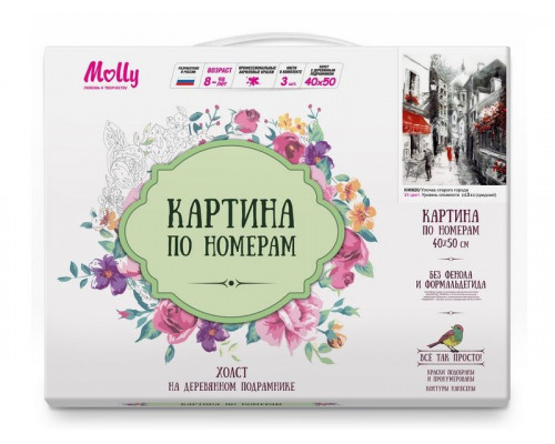 Картина по номерам 40х50 УЛОЧКА СТАРОГО ГОРОДА (21 цвет)