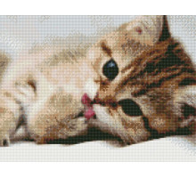 Алмазная мозаика с нанесенной рамкой 40х50 ПОСЛЕ ОБЕДА (24 цвета)