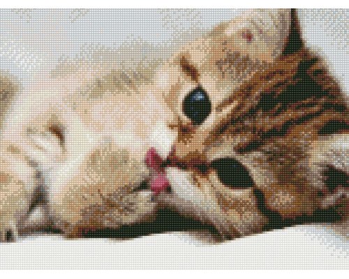 Алмазная мозаика с нанесенной рамкой 40х50 ПОСЛЕ ОБЕДА (24 цвета)