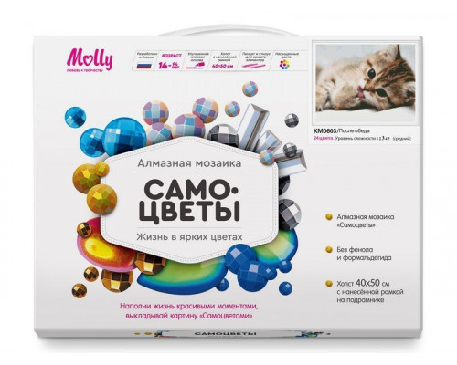 Алмазная мозаика с нанесенной рамкой 40х50 ПОСЛЕ ОБЕДА (24 цвета)