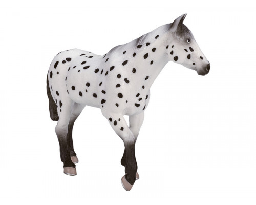 Фигурка KONIK Аппалузский жеребец