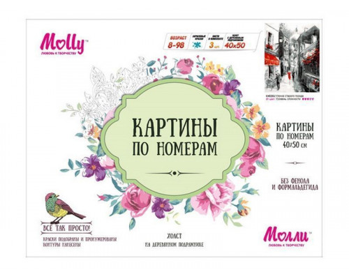 Картина по номерам 40х50 Улочка старого города (21 цвет)