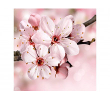 Картина мозаикой 30х30 ЯБЛОНЯ В ЦВЕТУ (квадрат) (20 цветов)