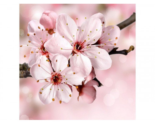 Картина мозаикой 30х30 ЯБЛОНЯ В ЦВЕТУ (квадрат) (20 цветов)