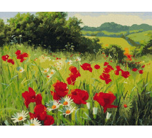 Картина по номерам 40х50 ЛУГОВЫЕ ЦВЕТЫ (26 цветов)