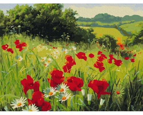 Картина по номерам 40х50 ЛУГОВЫЕ ЦВЕТЫ (26 цветов)