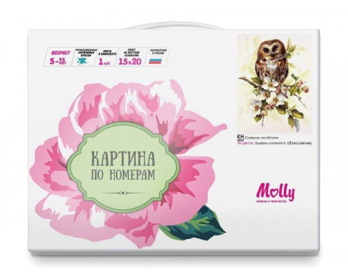 Картина по номерам 15х20 СОВЁНОК НА ЯБЛОНЕ (16 цветов)