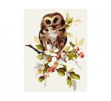 Картина по номерам 15х20 СОВЁНОК НА ЯБЛОНЕ (16 цветов)