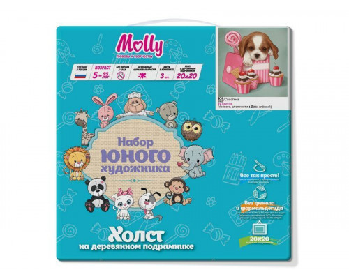 Картина по номерам 20Х20 СЛАСТЁНА (12 цветов)