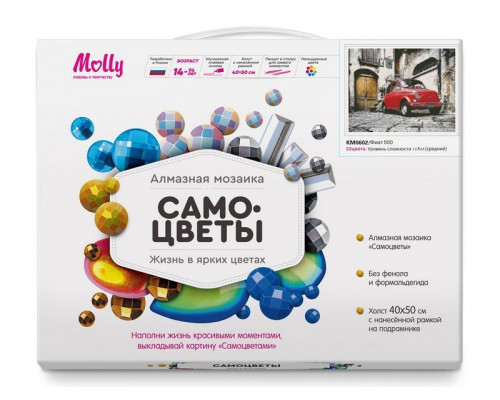 Алмазная мозаика с нанесенной рамкой 40х50 ФИАТ 500 (22 цвета)
