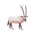 Фигурка KONIK Антилопа Орикс