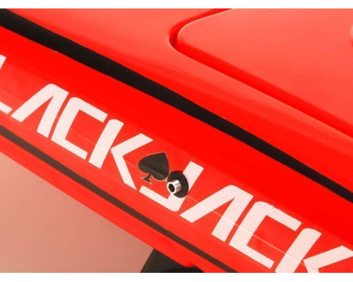 Радиоуправляемый катамаран ProBoat Blackjack 24 Brushless RTR