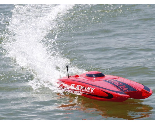 Радиоуправляемый катамаран ProBoat Blackjack 24 Brushless RTR