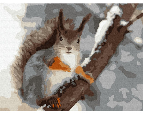 Картина по номерам 15х20 БЕЛОЧКА (15 цветов)