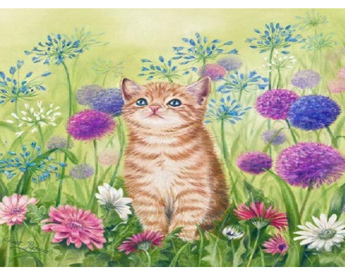 Набор юного художника 20х30 ЛЕТНИЙ ДЕНЬ  (18 цветов)