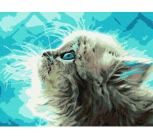 Картина по номерам с цв. схемой на холсте 30х40 ПУШИСТЫЙ КОТЕНОК (18 цветов)